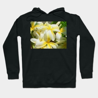 Plumeria after the Rain Hoodie